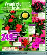 Hornbach aktuln letk, strana 19 
