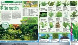 Hornbach akn letk, strana 7 
