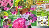 Hornbach letk, strana 9 