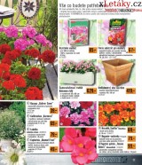 Hornbach letk, strana 11 