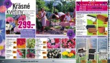 Hornbach letk, strana 6 