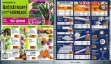 Hornbach letk, strana 9 