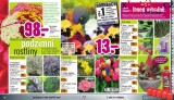 Hornbach letk, strana 22 