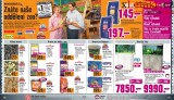 Hornbach letk, strana 24 